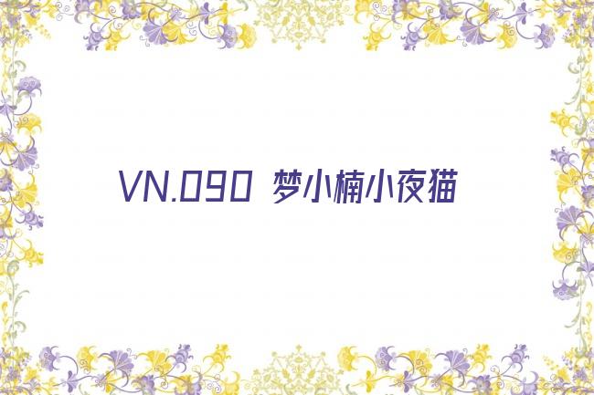 VN.090 梦小楠小夜猫剧照